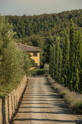 Gallery - Dievole Wine Resort
