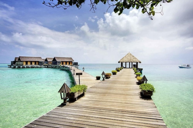 Gallery - Gangehi Island Resort