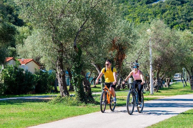 Gallery - Camping Residence Oliva