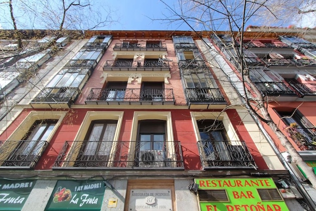 Gallery - Roisa Centro
