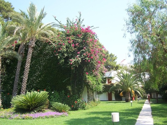 Gallery - Club Boran Mare Beach - All Inclusive