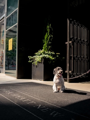 Gallery - Park Hyatt New York