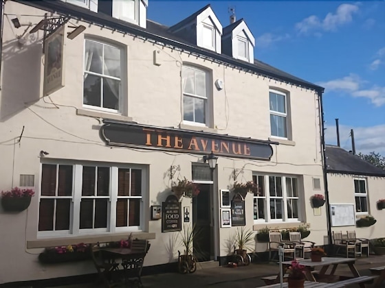 Gallery - The Avenue
