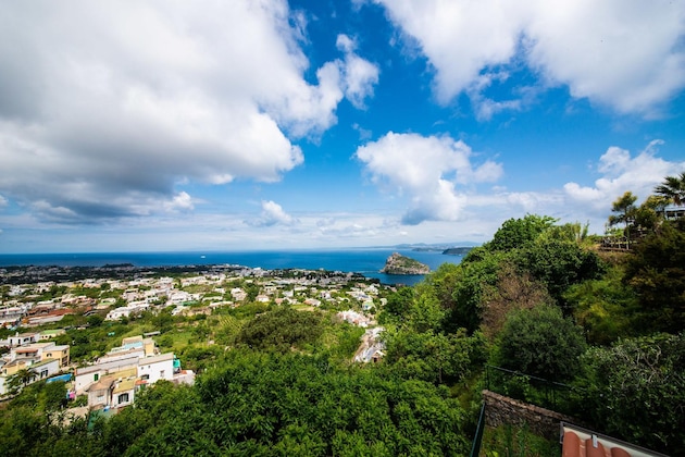 Gallery - La Capannina - Hotel & Apartments