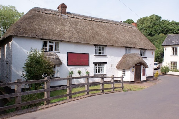 Gallery - The New Inn