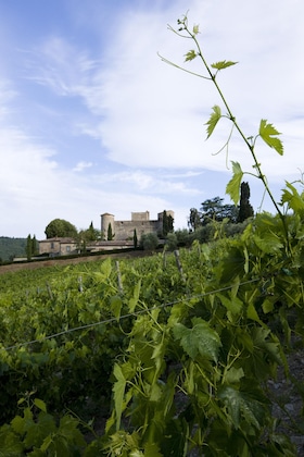 Gallery - Castello Di Meleto