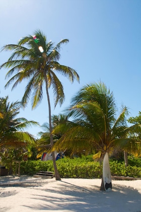 Gallery - Caribbean Villas Hotel