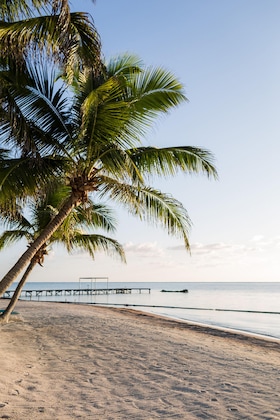 Gallery - Sapphire Beach Resort