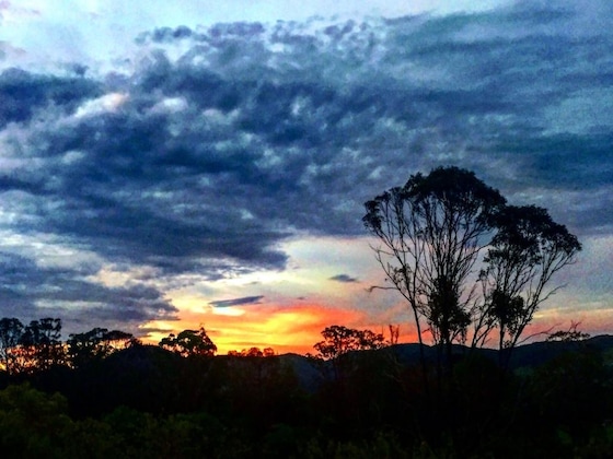 Gallery - Amamoor Lodge
