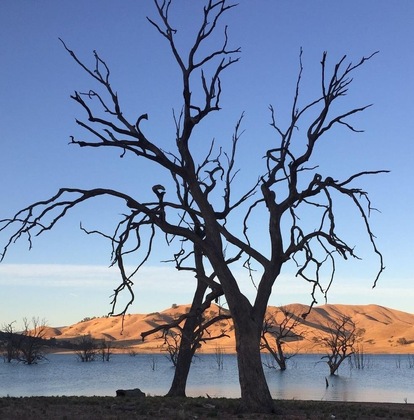 Gallery - Burnt Creek Cottages Mansfield