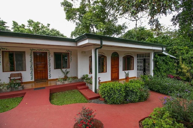 Gallery - Hotel La Rosa De America