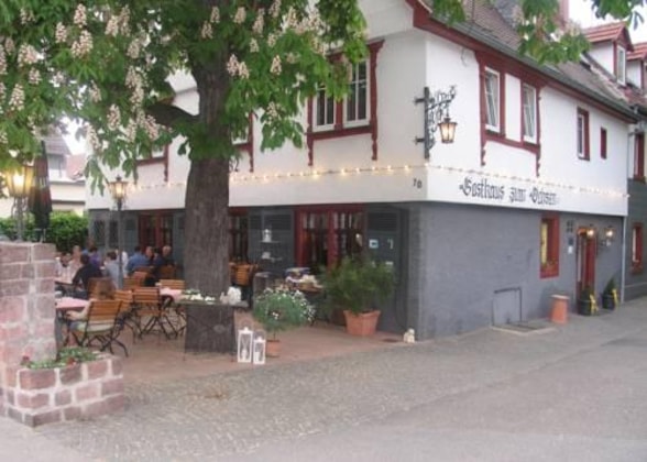 Gallery - Gasthaus Zum Ochsen