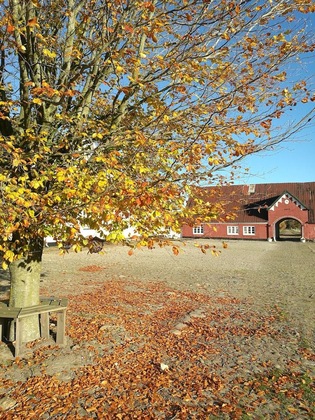 Gallery - Holtegaard Bed & Breakfast