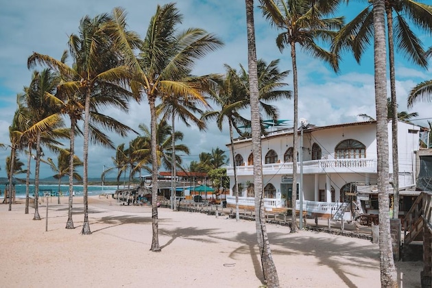 Gallery - Hotel Albemarle Galapagos Beachfront