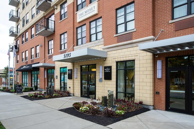 Gallery - The Mosey Buffalo Williamsville, Tapestry Collection By Hilton