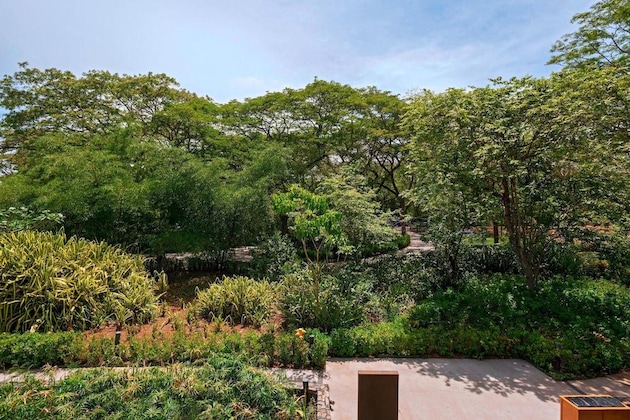 Gallery - El Mangroove Papagayo, Autograph Collection