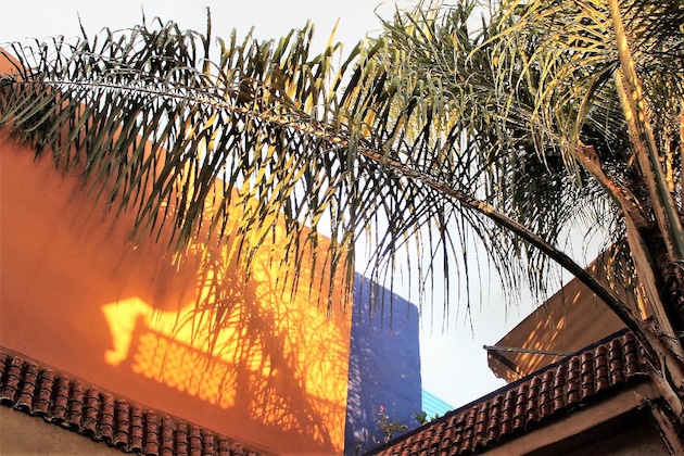 Gallery - Riad Al Amine