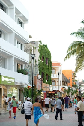 Gallery - Mar Azul Suites 5Ta Av