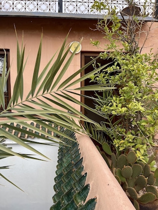 Gallery - Riad Elias