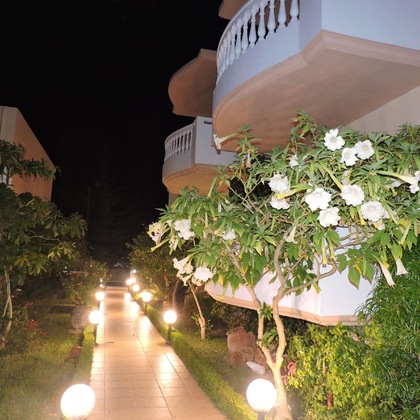 Gallery - Golden Rose Suites