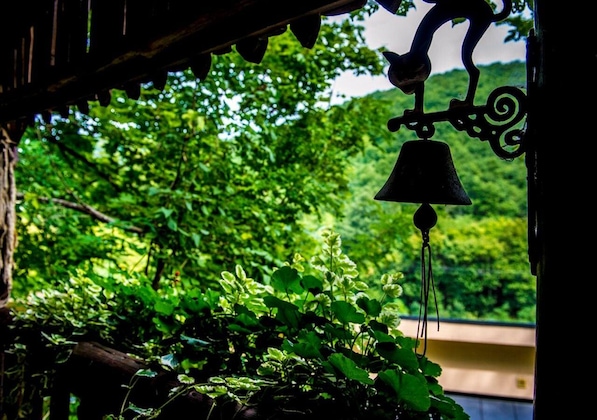 Gallery - Patak Park Hotel