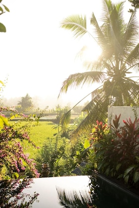 Gallery - Ubud Padi Villas
