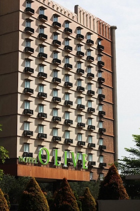 Gallery - Hotel Olive
