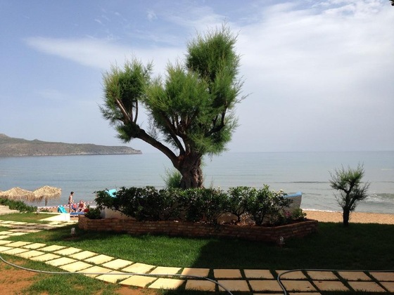 Gallery - Hermes Beach Front