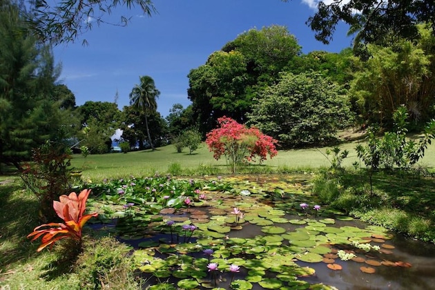 Gallery - Vanira Lodge