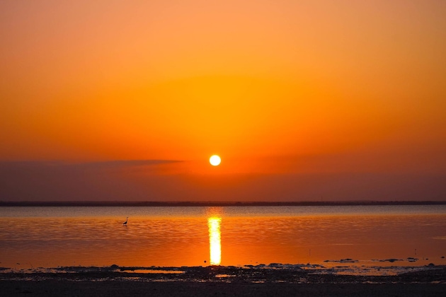 Gallery - Michamvi Sunset Bay