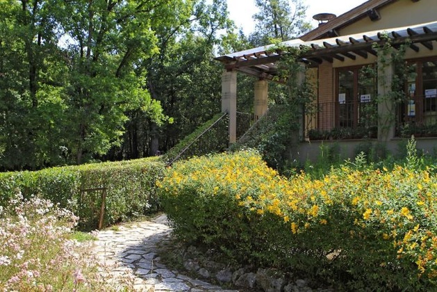 Gallery - Camping Boschetto Di Piemma