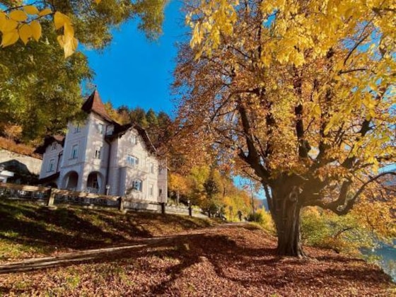 Gallery - Adora Luxury Hotel (Ex Vila Istra)