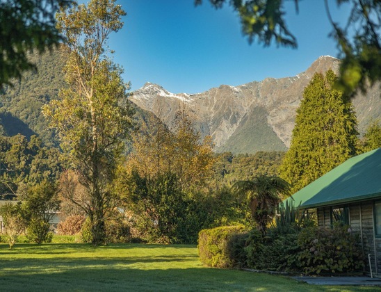 Gallery - Rainforest Motel