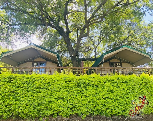 Gallery - Sabie River Bush Lodge