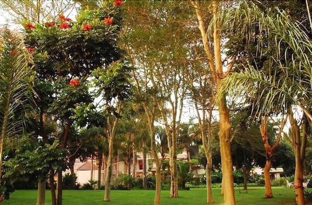 Gallery - Villa Amor