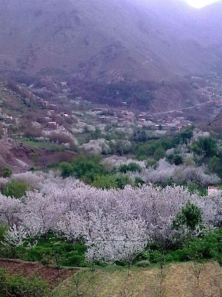 Gallery - Dar Tighoula