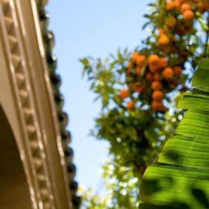 Gallery - Riad La Maison D'à Côté