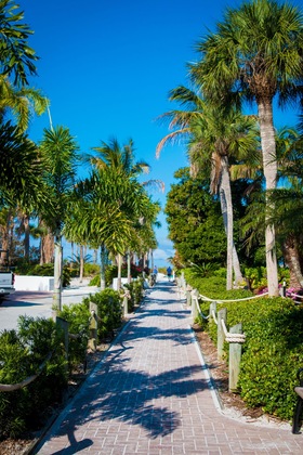 Gallery - Tropical Beach Resorts