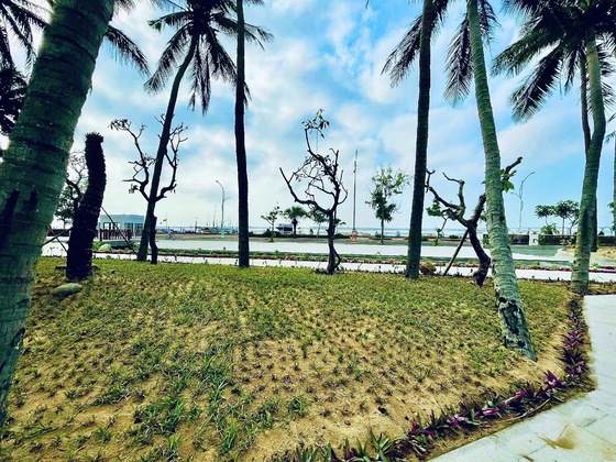 Gallery - Saigon Phu Yen Hotel