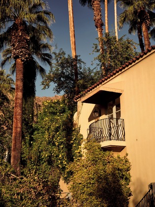 Gallery - The Willows Palm Springs