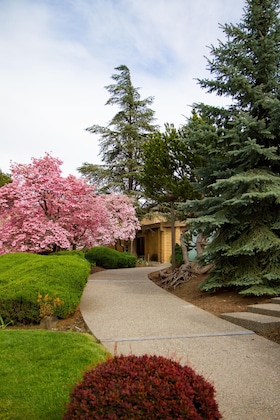 Gallery - Mirabeau Park Hotel & Convention Center
