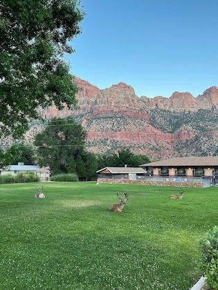 Gallery - Bumbleberry Inn