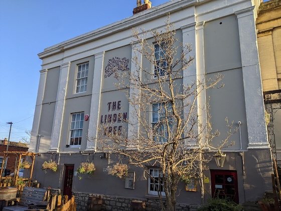 Gallery - The Linden Tree