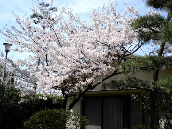 Gallery - Hotel Hagoromo