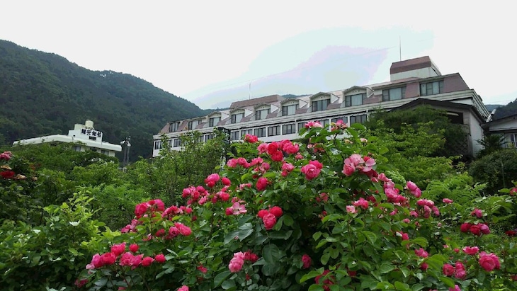 Gallery - Hotel Koryu