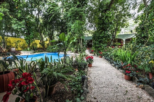 Gallery - Casa Quetzal Hotel Boutique