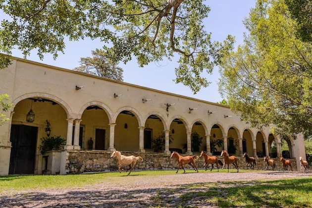 Gallery - Hacienda Labor De Rivera Hotel Boutique