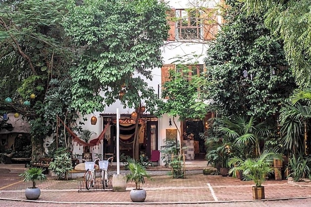 Gallery - Hotel La Semilla, Playa Del Carmen, A Member Of Design Hotels - Adults Only