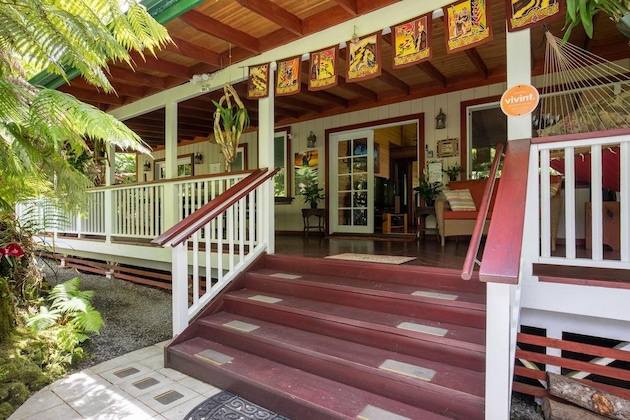 Gallery - Alas Del Kealoha