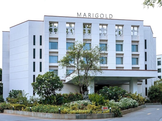 Gallery - Marigold By Greenpark